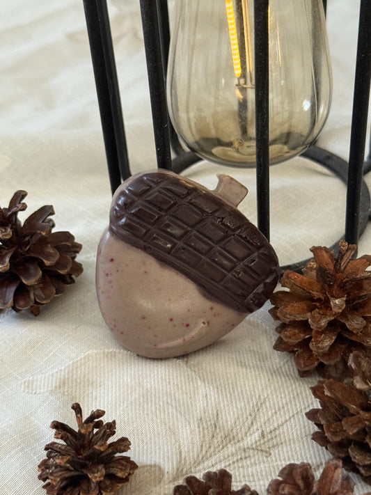 Bellota de cacao